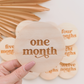 CIRCLE MILESTONE DISC SET | Engraved Plywood